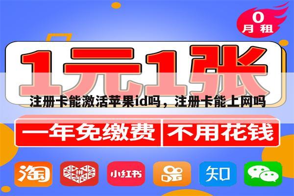 注册卡能激活苹果id吗，注册卡能上网吗