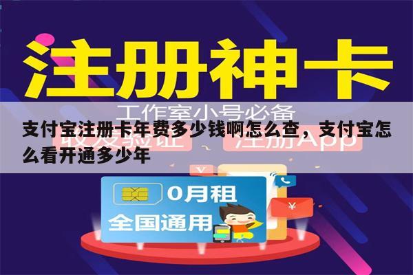 支付宝注册卡年费多少钱啊怎么查，支付宝怎么看开通多少年